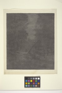 Moonlight Woods (blæk på papir) af Bolton Coit Brown