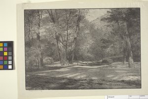 Sierra Woods (blæk på papir)