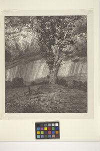 Storm (blæk på papir)