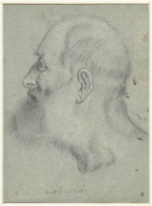 Hoved af skægget mand, i profil til venstre af Bonifazio Veronese (attributed to)
