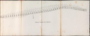 Hvalens rygrad, 1827 Colonne Vertébrale de la Baleine (titel på objektet)