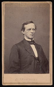 Portræt af Lyman Trumbull 1813-1896, mellem 1864 og 1868. af Brady