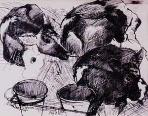 Kalve, fugtige, nyfødte, 1978 af Brenda Brin Booker