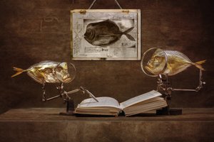 Nysgerrige fiskeakademikere af Brig Barkow