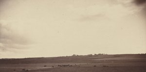 Udsigt over marker med køer, 1850