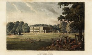Flok hjorte foran Trentham Hall af British School