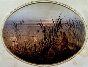 Tigerjagt ledet af det britiske militær, Storbritannien af British School