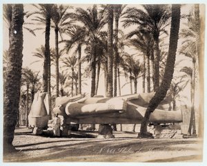En statue af Memphis ligger i en palmelund i Egypten - fotografi af Zangali-brødrene, slutningen af det 19. århundrede