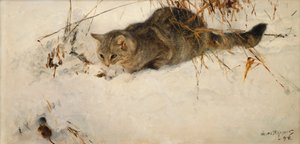 En kat, der forfølger en mus i sneen