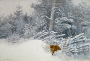 En ræv i vinterskoven