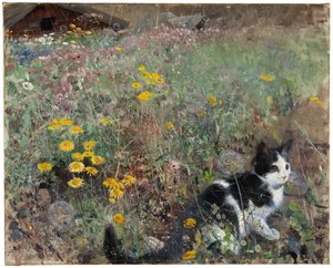 Kat på en blomstrende eng, 1887