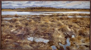 Curlews Fugle i marsken. Maleri af Bruno Andreas Liljefors (1860-1939) 1913 søn. 1,19x2,2 m af Bruno Andreas Liljefors