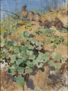 Nestlings of Red-backed Shrike, 1887 af Bruno Andreas Liljefors