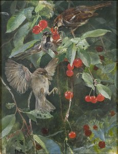 Spurve i et kirsebærtræ, 1885 af Bruno Andreas Liljefors
