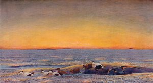 Solopgang, 1896 af Bruno Andreas Liljefors