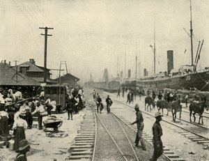 Frigivne fanger, spansk-amerikansk krig, juni 1898, 1899. af Burr McIntosh