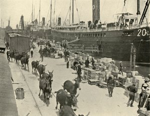 Troppeskibe ved Port Tampa, Florida, USA, Spansk-Amerikanske Krig, 10. juni 1898, 1899.
