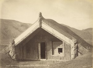 Runanga House - Wairoa - efter udbruddet 10.juni 86, juli 1886 (albumenprint)