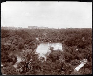 Udsigt over Central Park fra Plaza Hotel, 5th Avenue og 59th Street, New York, 1907 (sølv gelatinetryk) af Byron Company