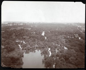 Udsigt over Central Park fra Plaza Hotel, 5th Avenue og 59th Street, New York, ca. 1907 (sølv gelatinetryk) af Byron Company