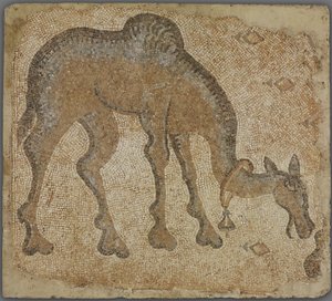 Mosaikfragment med græssende kamel af Byzantine