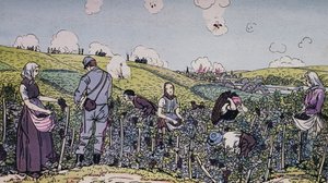 Vores vinbønder høstede under ild, høsten i Champagne-regionen i 1914, Første Verdenskrig, Frankrig, 20. århundrede af J.B. and Brown J. Rowbotham