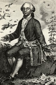 Portræt af Georges-Louis Leclerc de Buffon (1707-1788), fransk naturforsker og matematiker, gravering af J.B. and Brown J. Rowbotham