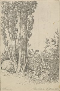 Popler og vilde vækster ved Hanau af Christoffer Wilhelm Eckersberg