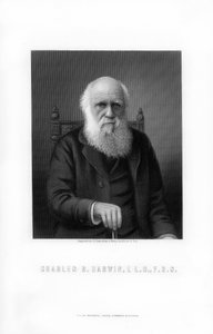 Charles Darwin, britisk naturforsker, 1899.