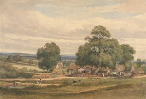Emerey Down nær Lyndhurst, New Forest, Hants af C. John M. Whichelo
