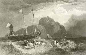 Tigerøen