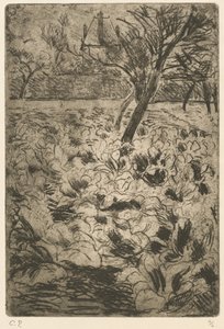 Kålmarken af Camille Pissarro