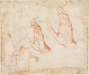 Studie af hænder (verso) af Camillo Procaccini