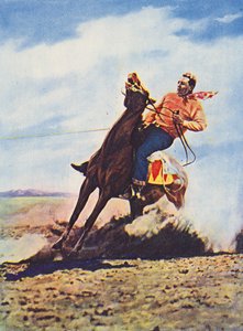 Cowboy bringer sin hest til et hurtigt stop (farvefoto)