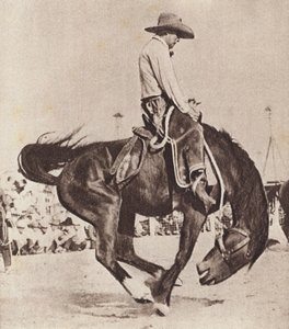 Cowboy rider på en bukkende bronco (s/h-foto)
