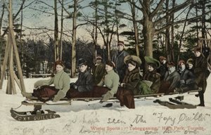Kælkning, High Park, Toronto, Canada (foto i farver) af Canadian Photographer