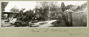 Getsemane Have, 14. december 1917 af Capt. Arthur Rhodes