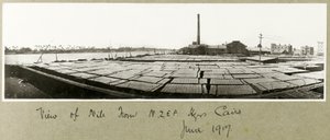Udsigt over Nilen fra N.Z.M.F.A. Hovedkvarter, Cairo, juni 1917 af Capt. Arthur Rhodes
