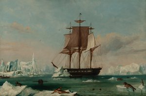 USS Vincennes i Disappointment Bay (olie på lærred) af Captain Charles (attributed to) Wilkes