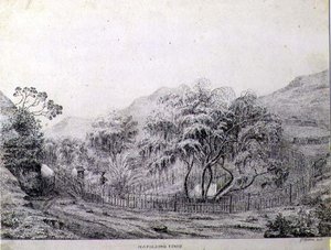 Napoleons grav ved Longwood på øen St. Helena af Captain G. Rotton