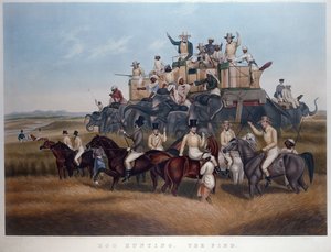 Hog Hunting: The Find, indgraveret og pub. af Mrs Fores, ca. 1840 (farvet gravering) af Captain John (after) Platt