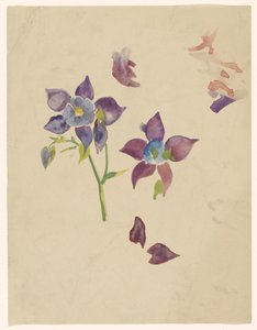 blomsterstudie af Carel Adolph Lion Cachet