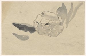Blomsterstudie af Carel Adolph Lion Cachet