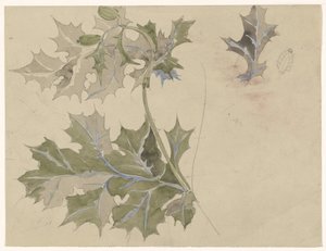 Tidsel blade af Carel Adolph Lion Cachet