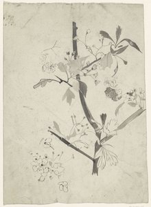 Gren med blomst af Carel Adolph Lion Cachet