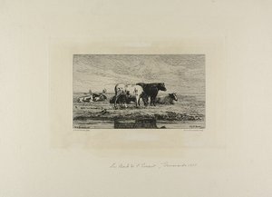 Banken i Escaut af Carel Nicholaas Storm van Gravesunde