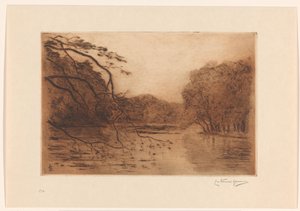 Dam i Haagse Bos af Carel Nicolaas Storm van 