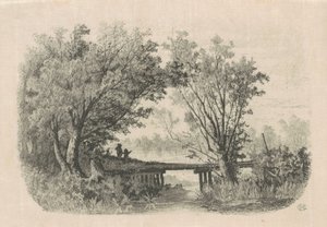 Piletræer