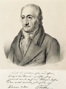 Portræt af Johann Wolfgang von Goethe (Frankfurt