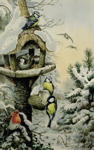 Vinterfuglebord med blåmejser, stormejser, gråspurve og en Robin